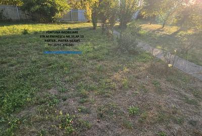 Proprietate cu 6329 mp teren intravilan,Casa P+1 si anexe, Alexandru cel Bun - 14