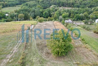 Teren intravilan lângă pădure, Racova - 3