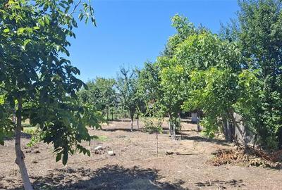 Casa cu teren 2783 mp- Panciu-Satu Nou - 13