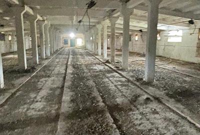 Complex industrial/Ferma de vânzare | Orțișoara, jud. Timiș - 29