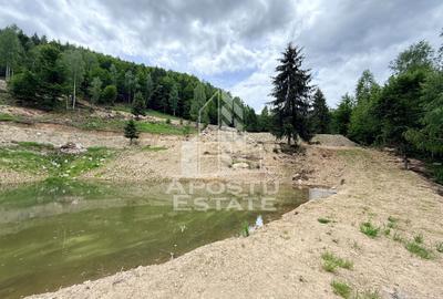 Oportunitate! Domeniu montan, cu lac propriu, oras Lupeni, Hunedoara - 56