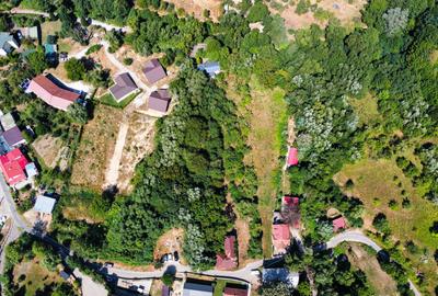 Teren 4.173 mp, front 60 m – Văliug, aproape de Lacul Gozna - 8