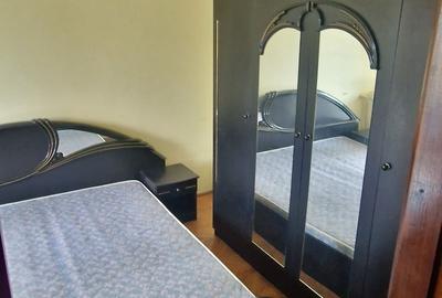 2 camere - Pajura - Faurei - 5