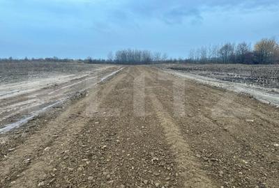 Teren Construcții intravilan de 15000 mp, în Marginea