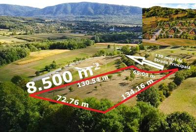 VIDEO | Super view | Teren 8.500 m² in Maramures | Viitorul tau colt de liniste - 1