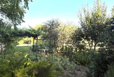 EXCLUSIV - OCAZIE ! EFORIE SUD VILA D+P+1E+M SC=607 MP. TEREN=500 MP. - 19