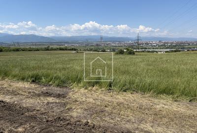Teren agricol extravilan de 4400 mp, în Nord-Est
