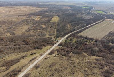 Teren extravilan 95.23 ha lângă Caransebeș - 19