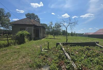 Casa de vanzare - 14