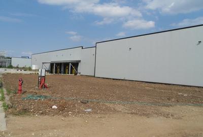 INCHIRIERE HALA IN MEGA COMPANY CHIAJNA - PROIECT IN DEZVOLTARE - 6
