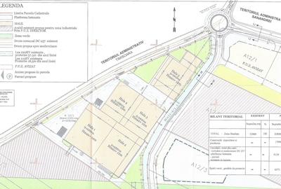 Teren intravilan 32.800 mp Dumbrăvița-Covaci | hale / investiție - 4