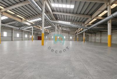 Hala de vanzare, productie, depozitare, desfacere, show-room - 5