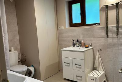 Casă renovată premium, Drajna de Sus, Prahova 3029 mp - 28