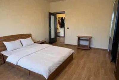 Apartament 2 camere in bloc vila zona Teatrul Dramatic - 4