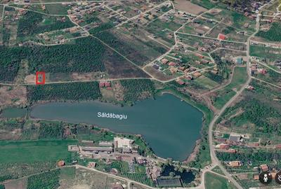 Teren Construcții intravilan de 640 mp, în Săldăbagiu de Munte