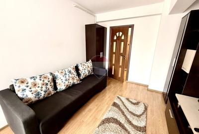 Apartament cu o cameră de închiriat pe Strada Plopilor.  Pet Friendly - 3