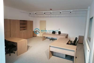 Royal Imobiliare - Vanzare Spatiu de productie Albesti Paleologu - 9