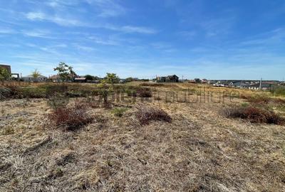 Teren Intravilan 563 mp – Amplasament Excelent în Cihei - 1