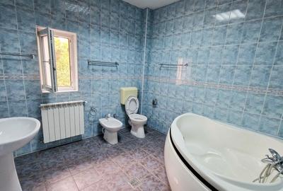 Vila , 300mp utili, ideala afterschool, cazare muncitori straini etc! - 11