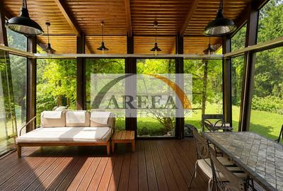 Vila complet mobilata cu piscina interioară -Pipera - 18