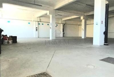 Hala industriala Productie sau depozit - Freidorf - 2