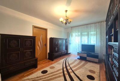 Centru Civic, apartament decomandat, ideal pentru un cuplu, pet friendly - 9
