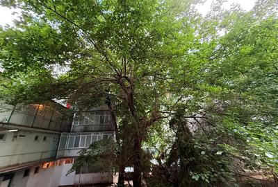 Apartament 2 camere Primaverii 10 min Herastrau - 3
