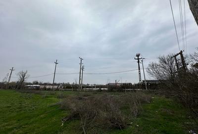 Teren 157.000mp Mogosesti | Giurgiu - 7