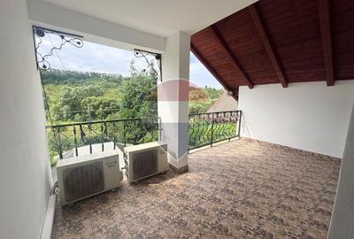 Leamna de sus, casa cu piscina, 2000mp - 24
