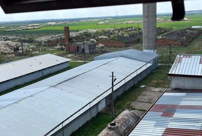 Platformă industrială REGIANA, 10 ha, alcool și îmbuteliere apă, Cefa