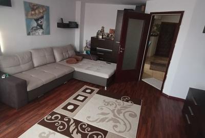 Apartament cu 2 camere, mobilat în Bucovina