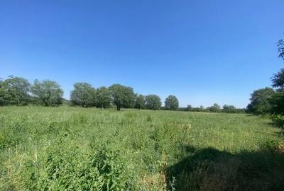 🏡 TEREN INTRAVILAN DE VÂNZARE – CHEVEREȘU MARE 🌳 - 4