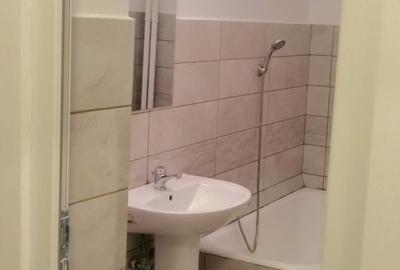 Campia Libertatii/Baba Novac/Piata Muncii/Garsoniera la cheie/ - 6