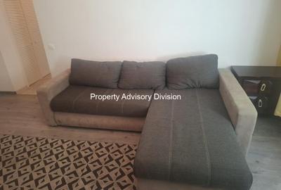 Inchirieri Apartamente 2 Camere Nicolae Caramfil - 2