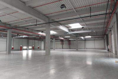 SPATIU DE DEPOZITARE DE INCHIRIAT CHITILA - 3