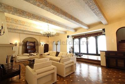 Dorobanti - Capitale - vila cu 29 camere de inchiriat/vanzare - 4