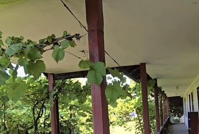 Vanzare vila P+1+M cu 5 camere, casa batraneasca , 2 garaje, teren 9249mp, - 21