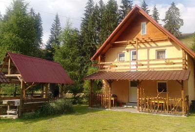 Hotel/Pensiune, de 280 mp, în Arieșeni