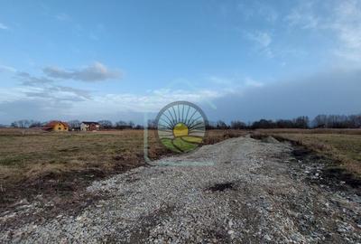 TEREN INTRAVILAN BRASOV-STUPINI STR. FAGURULUI - 2