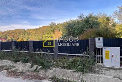 Casa cu teren, str. Slatinei, Luncani - Margineni - Bacau - 2