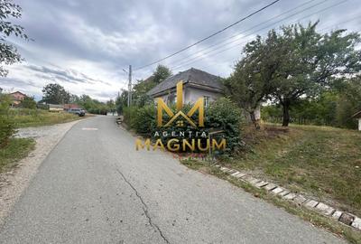 Casă de vânzare în Dumbrăvița, Maramureș  0% comision - 10