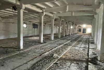 Complex industrial/Ferma de vânzare | Orțișoara, jud. Timiș - 30