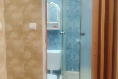 GARSONIERA DE VANZARE - RULMENTUL - 9