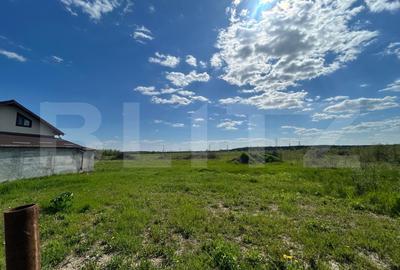 Teren Construcții intravilan de 1716 mp, în Priseaca