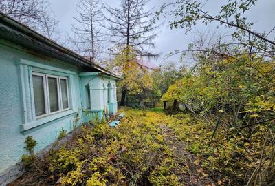 Teren 2200 mp + Casă, sat Frasinu, Giurgiu - 3