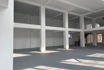 SPATIU COMERCIAL - 3