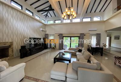 Vila superba - 7 camere - vanzare - Iancu Nicolae - Padurea Baneasa - 3