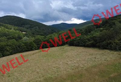 De vânzare teren extravilan în Malnaș! - 9
