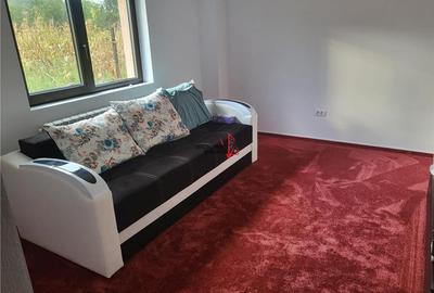 Vanzare casa 5 camere sau schimb cu aparatment in Pitesti sau Curtea de Arges- M - 23
