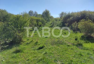 Teren 3445 mp intravilan front 26 m utilitati in zona in Cisnadie - 8
